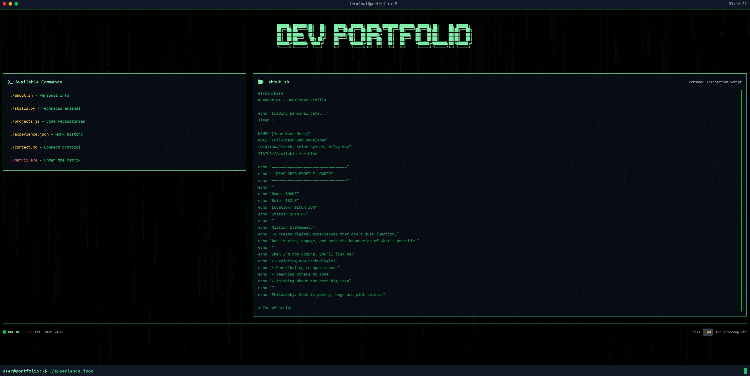 Professional Web Development Portfolio - Custom Website Design Example